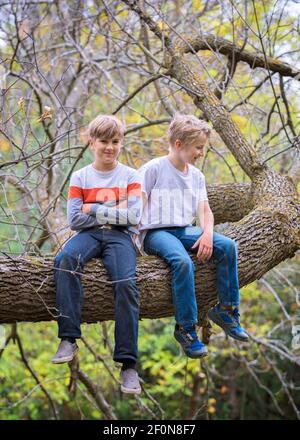 Deux jeunes garçons assis sur une branche d'arbre dans les bois. Banque D'Images