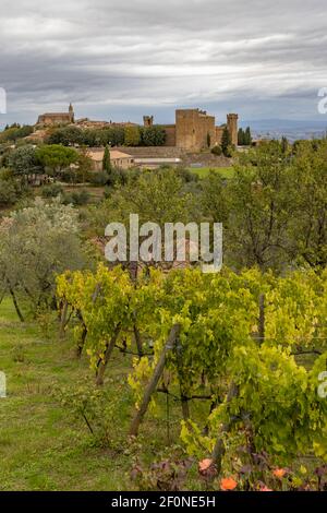 Les vignobles les plus célèbres de Toscane près de la ville de Montalcino en Italie Banque D'Images