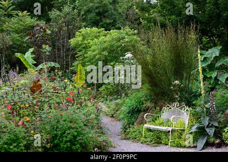 dahlia twynings remel,dahlia plantules,salvia amistad,allium globemaster,linaria peachy,ensete ventricosum maureslii,banane,plantation tropicale schéma, réf Banque D'Images