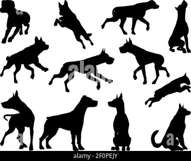 Chien Animal Silhouettes Set Illustration de Vecteur