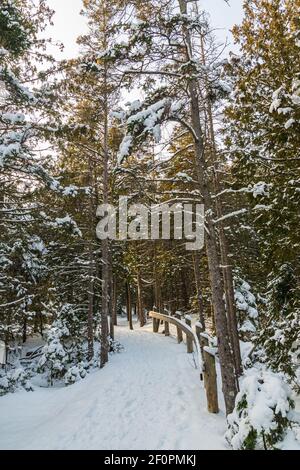 Parc national Fathom Five Comté de Grey Sauble Péninsule-Bruce Ontario Canada Banque D'Images
