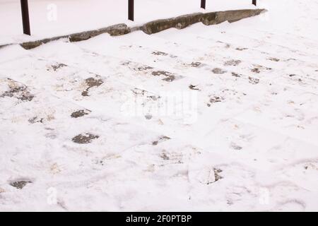 Des marques de neige et de bottes sur les marches en gros plan Banque D'Images