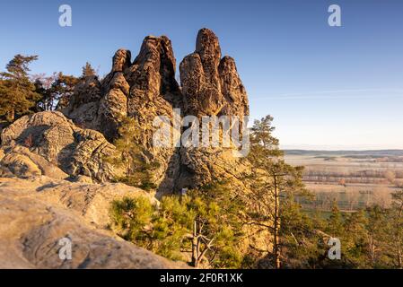 Allemagne, Saxe-Anhalt, Timmenrode, Hambourg armoiries, partie du mur du diable dans les montagnes du Harz. Banque D'Images