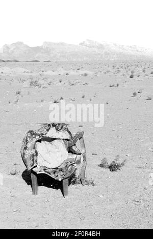 En iran vieux arbre mort Banque D'Images