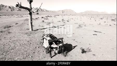 En iran vieux arbre mort Banque D'Images