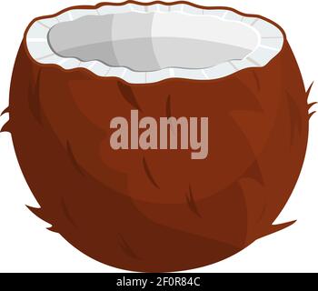 Noix de coco mûres et demi-noix de coco sur blanc. Illustration de Vecteur