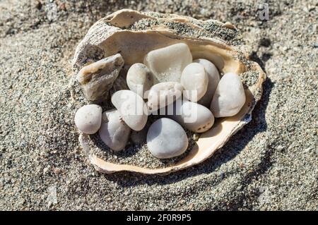 Cailloux dans le shell sur le sable Banque D'Images