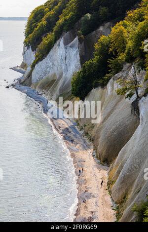 Touristes sur la plage en dessous des falaises de craie, parc national de Jasmund, île de Ruegen, Mer Baltique, Mecklenburg-Poméranie occidentale, Allemagne de l'est Banque D'Images