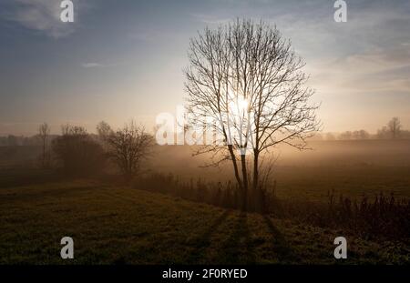 Lever du soleil à Erdinger Strasse, Ottenhofen, haute-Bavière, Bavière, Allemagne Banque D'Images