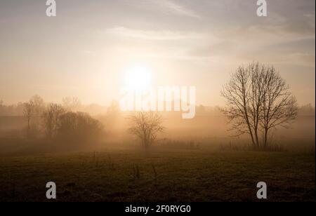 Lever du soleil à Erdinger Strasse, Ottenhofen, haute-Bavière, Bavière, Allemagne Banque D'Images