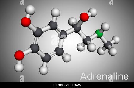 Adrénaline, molécule d'épinéphrine. C'est hormone, neurotransmetteur, médicament. Utilisé comme médicament en raison de ses diverses fonctions importantes. Modèle moléculaire. Banque D'Images