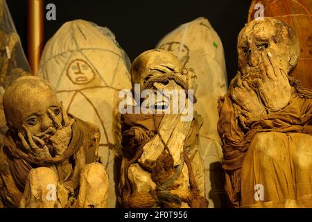 Momies de la culture Chachapoya dans le musée de Leymebamba, province de Chachapoyas, région d'Amazonas, Pérou Banque D'Images