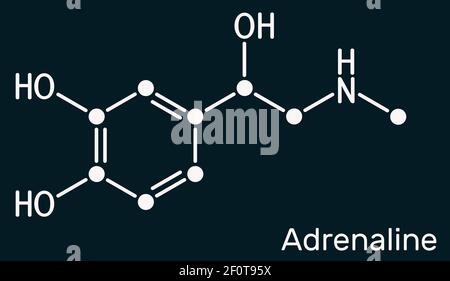 Adrénaline, molécule d'épinéphrine. C'est hormone, neurotransmetteur, médicament. Utilisé comme médicament en raison de ses diverses fonctions importantes. Produit chimique squelettique Banque D'Images