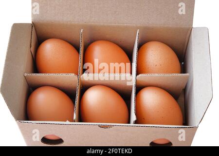 Œufs de poulet dans une boîte en carton sur fond blanc. Œufs dans le forfait. Vue rapprochée. Banque D'Images