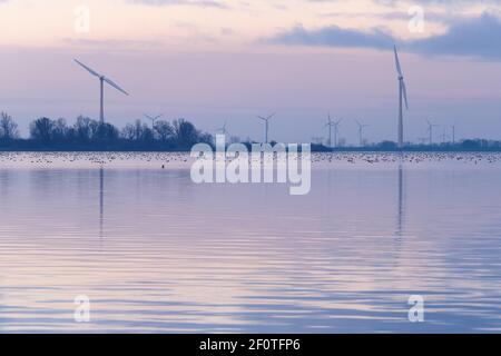 Lac avec deux éoliennes à pales, ou moulins à vent modernes, dans une ferme éolienne le long de la réserve naturelle Eemmeer aux pays-Bas. Couleurs froides du soir avec Banque D'Images