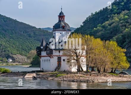 Château de Pfalzgrafenstein, château à péage, ville de Kaub, municipalité de Loreley, vallée du Haut-Rhin moyen, Rhénanie-Palatinat, Allemagne Banque D'Images