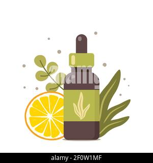 Cosmétiques naturels à base de plantes biologiques. Feuilles tropicales et tranche d'orange. Traitement dermatologique. Bio, aromathérapie, huile essentielle. Beauté aux herbes Illustration de Vecteur