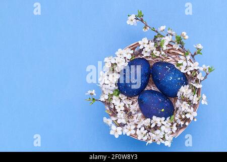 Œufs de pâques bleus dans un panier avec fleurs sur fond bleu. Photographie horizontale. Vue de dessus Banque D'Images