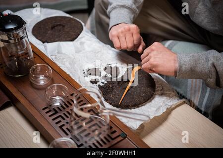 Un homme prépare un thé mûr cru pour une cérémonie de thé. Prélève un morceau de thé avec une aiguille à thé. Gros plan des mains. Banque D'Images