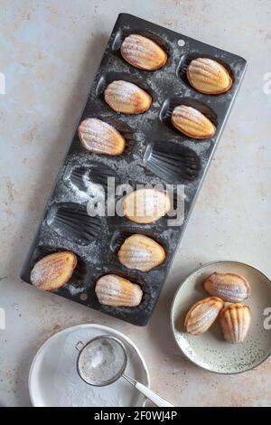 Plat de pain d'une boîte de gâteaux de madeleine fraîchement cuits, certains sur une assiette et un tamis avec sucre glace sur fond neutre Banque D'Images