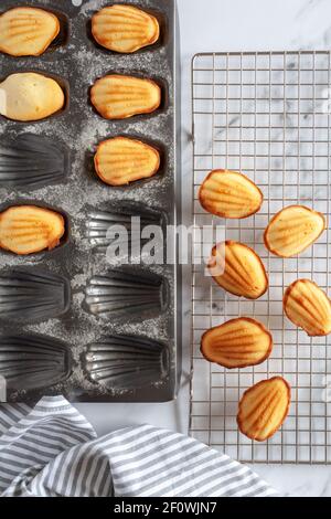 Un moule avec des gâteaux de la madeleine fraîchement cuits et rafraîchi porte-vêtements à côté sur une surface en marbre blanc Banque D'Images