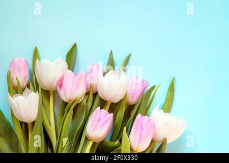 Bouquet de tulipes roses et blanches Banque D'Images