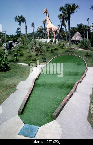 Giraffe - Jungle Golf - Myrtle Beach - Caroline du Sud ca. 1979 Banque D'Images