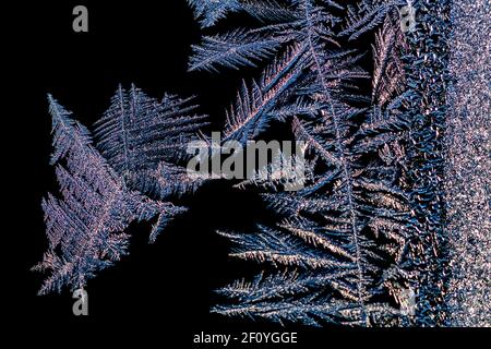 Cristaux de glace complexes qui poussent sur une fenêtre en hiver au Michigan, aux États-Unis Banque D'Images