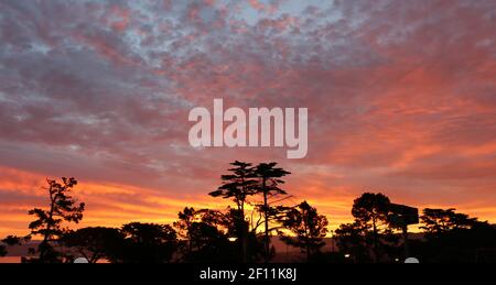 Ciel spectaculaire de début de matinée avec nuages épars et arbres en silhouette, Monterey, CA. Banque D'Images