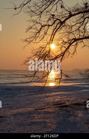 Lever de soleil au-dessus de Saginaw Bay, fin de l'hiver, lac Huron, Michigan, États-Unis, Par James D Coppinger/Dembinsky photo Assoc Banque D'Images