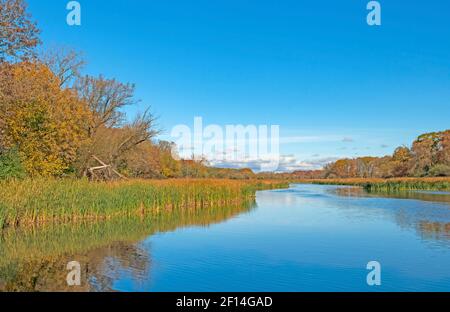 Eaux calmes et cieux à l'automne sur Salt Creek Dans la réserve Ned Brown de l'Illinois Banque D'Images