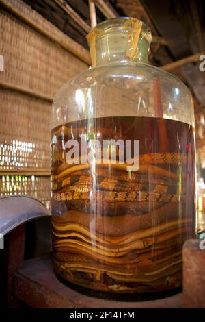 Serpents dans l'alcool. Île de Tân Phong, Delta du Mékong, Vietnam. De telles concessions sont réputées avoir une valeur de medicina. Banque D'Images