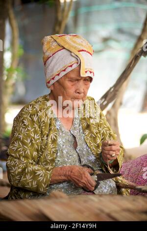 Femme vietnamienne âgée qui plâte des feuilles de plam, île de Tân Phong, delta du Mékong, Vietnam Banque D'Images