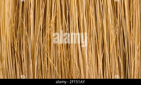 Peignez les poils des brosses sur du papier marbré Banque D'Images
