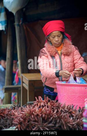Hmong femme vendant des piments rouges riés au marché CAN Cau, province Lao Cai, nord du Vietnam.ong Banque D'Images