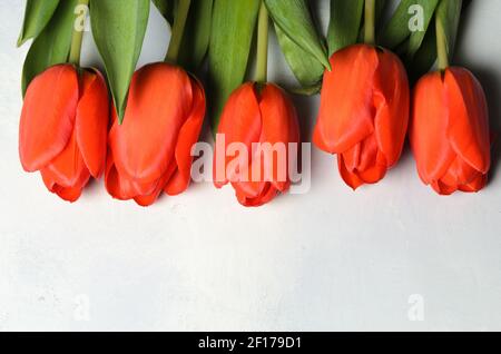 Plusieurs tulipes sur un arrière-plan de toile abstraite texturée. Mise au point sélective. Banque D'Images