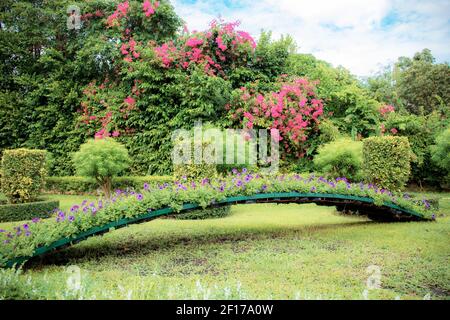 Fleur dans le jardin avec des décorations de haute saison. Banque D'Images