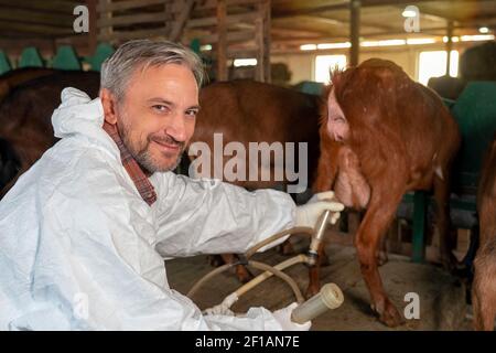 Joyeux fermier souriant en uniforme blanc attacher une machine à traire à un pis de chèvre. Chèvre Farmer regardant l'appareil photo. Chèvres à la station de traite. Banque D'Images