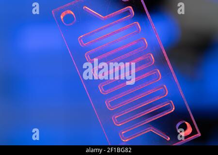 Laboratoire sur un dispositif microfluidique à puce Banque D'Images