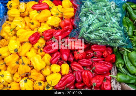 Différents types de poivrons à vendre sur un marché Banque D'Images