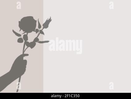 Illustration d'une main tenant des roses en silhouette sur pâle arrière-plan gris Banque D'Images