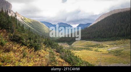 Vue sur la vallée alpine colorée avec forêt et montagnes pendant l'automne, tiré sur le sentier du mont Smutwood à Kananaskis, Alberta, Canada Banque D'Images