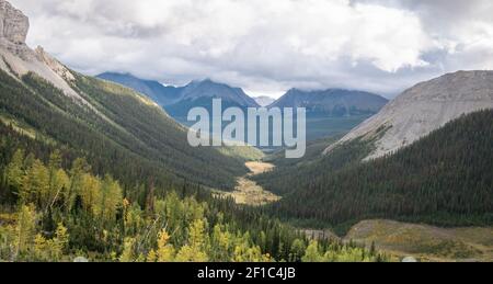 Vue sur la vallée alpine avec forêt et montagnes, tiré sur le sentier du mont Smutwood à Kananaskis, Alberta, Canada Banque D'Images