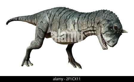 Rendu 3D d'un dinosaure Carnotaurus Sastrei ou d'une alimentation en chair bull isolé sur fond blanc Banque D'Images