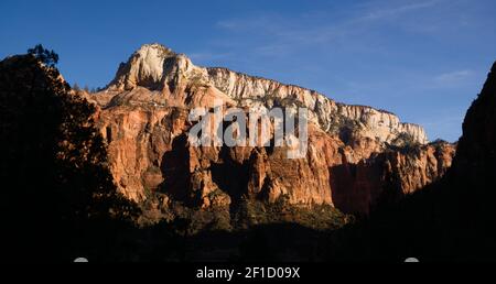 Vue panoramique sur la fin de l'après-midi Haute Montagne Zion National Park Banque D'Images