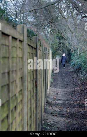 femme solitaire âgée marchant sur le sentier rural ellingham norfolk angleterre Banque D'Images