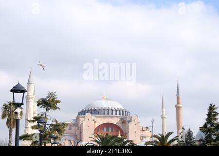 Façade, à l'extérieur de la mosquée Hagia sophia maintenant, devant le musée et l'ancienne église de la place sultanahmet avec des palmiers touristiques pendant le ciel couvert bleu. Banque D'Images