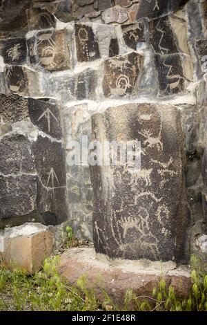 Falaise d'anciens pétroglyphes Dessins Ginko Forêt Pétrifiée Washington USA Banque D'Images