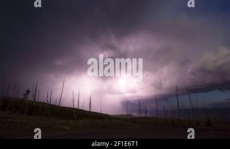 Plus de Tower Creek Orage Foudre Yellowstone National Park Banque D'Images