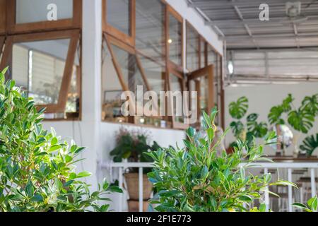 Rafraîchie dans un café minimal, photo de stock Banque D'Images